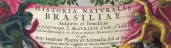 Historia Naturalis Brasiliae