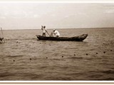  A Pesca em Laguna-SC (1947-1954)