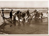  A Pesca em Laguna-SC (1947-1954)