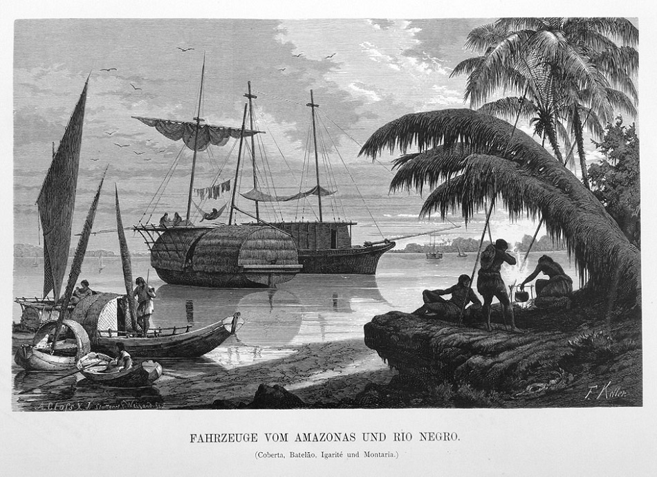 Fonte: Keller-Leuzinger, Vom Amazonas und Madeira, 1874